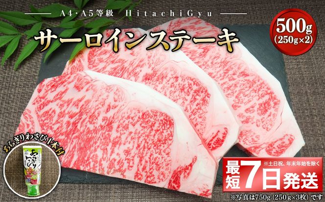 K2420 <最短7日発送> 常陸牛A5等級 サーロインステーキ500g (250g×2枚) あらぎりわさび1本付