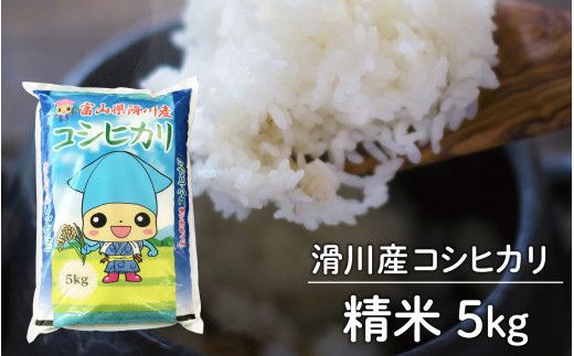 滑川産コシヒカリ（精米5kg）[A-007005]