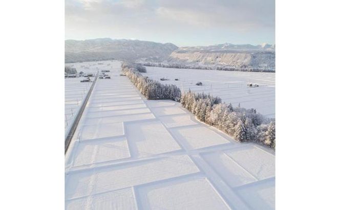【令和7年産】定期便！魚沼産こだわり従来コシヒカリ【合計240kg】毎月20kg×12回 ブランド米 銘柄米 白米 精米 ご飯 おにぎり お弁当 
