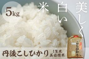 令和8年産 美白精米 丹後こしひかり 5kg 1等米　MU00096