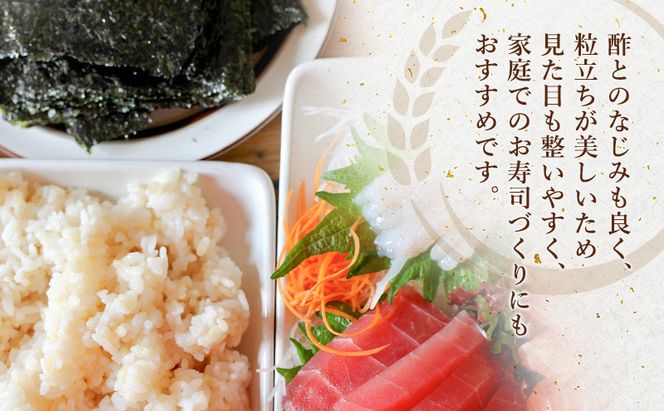 愛知県産 あいちのかおり 玄米 5kg お米 玄米 ライス ご飯 おにぎり お弁当 和食