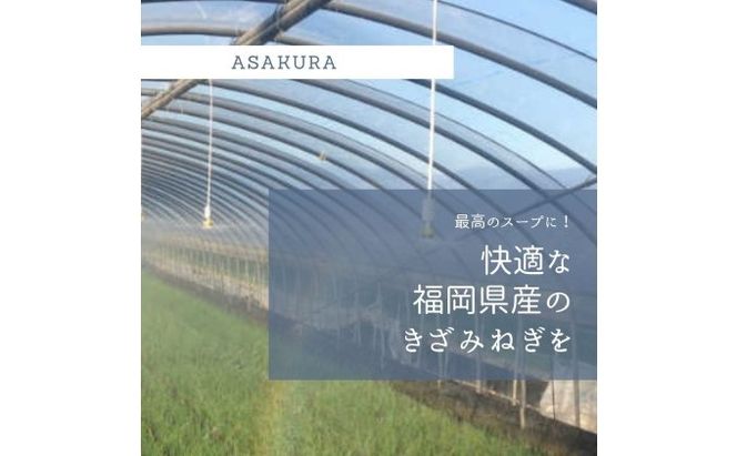 野菜 カット ねぎ 3kg（1kg×3袋）長ネギ 配送不可エリア有り 