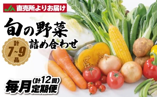 【毎月お届け】むなかた旬のお任せセット（野菜）7～9品【JAほたるの里】_HB0173