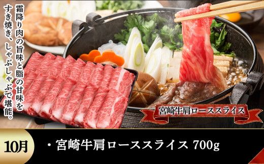 宮崎牛定期便(5回お届け) Aコース_N25-001-T5 宮崎牛 食べ比べ  バラ ウデ モモ カルビ サーロイン 肩ロース 切り落とし ブロック ステーキ スライス 5回 すき焼き 牛丼 炒め物 焼肉