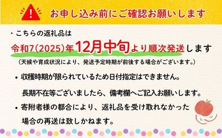 【先行予約】 【訳あり】サンふじ 約10kg (22〜40玉）（2025年12月中旬から発送） (7-A39-3) 長野県 飯山市 おすすめ ランキング おいしい 高評価 大人気 りんご