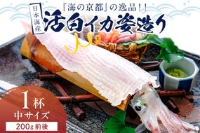 日本海産『海の京都』の逸品！！　活白イカ姿造り（クリスタル白いか）中サイズ 1杯（200g前後）（2026年6月上旬～発送） ふるさと納税 海鮮 鮮度抜群 新鮮 海鮮 いか イカ 簡単調理 生産者応援 送料無料 生食 魚介類 活イカ　YK00534