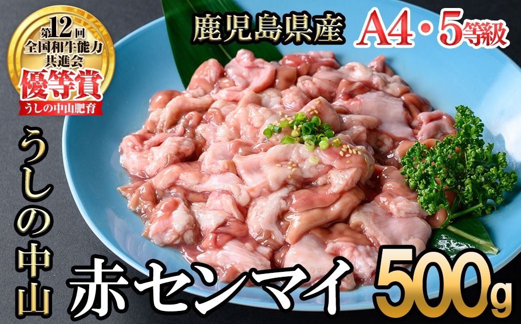 うしの中山 A4・A5等級黒毛和牛 赤センマイ(ギアラ)計500g(500g×1P)p9-033