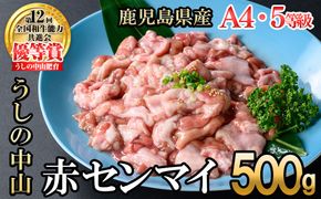 うしの中山 A4・A5等級黒毛和牛 赤センマイ（ギアラ）計500g（500g×1P）p9-033
