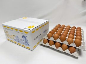 【オーイ！とんぼ×松田養鶏場コラボパッケージ】産地直送  松田養鶏場のひょうごの赤たまご60個（50個+割れ補償10個）