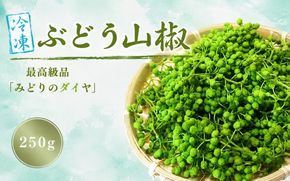  冷凍 ぶどう 生実山椒 250g / 山椒 さんしょう 香辛料 調味料 薬味 冷凍 ぶどう山椒 生山椒 和歌山県 紀美野町 生実山椒【twn044-cbudo-250】
