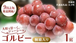 【桐箱入り】 ゴルビー １房【2026年9月上旬発送開始】(茨城県共通返礼品：大子町) ぶどう ブドウ 葡萄 果物 フルーツ 果実 贈答用 ギフト 贈り物 プレゼント 
