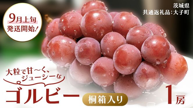 y錧vszy˔z Sr[ P[y2026N9{Jnz(錧ʕԗiFq) Ԃǂ uhE  ʕ t[c ʎ p Mtg 蕨 v[g