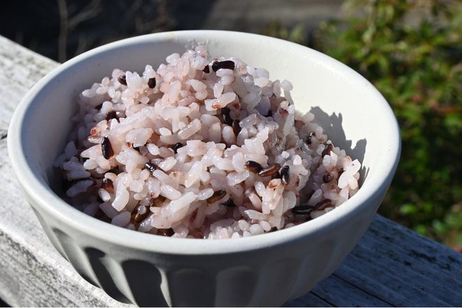 【先行予約】令和8年産　古代米黒米3袋セット 黒米 自然栽培 栽培期間中 健康食 エスニック カレー 健康 栄養 雑穀 900g 小分け 300g × 3袋 雑穀米 ふるさと納税 赤米 玄米  雑穀米　数量限定　YF00010