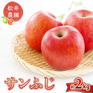 信州小諸　松井農園のサンふじ　約2kg 果物類・林檎・りんご・リンゴ