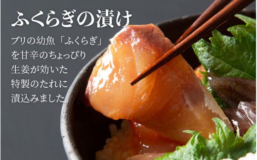 富山湾どんぶりセット 約３人前
