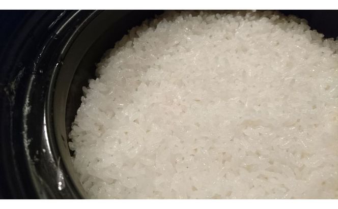 米 信州小諸産マイスターブレンド米【白米／5kg】 コシヒカリ あきたこまち ひとめぼれ コメ お米 ごはん ご飯 信州 長野県 小諸市