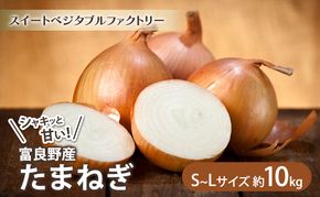 【2025年夏～発送】北海道富良野産 たまねぎ 約10kg (S～Lサイズ混合) 野菜 玉ねぎ