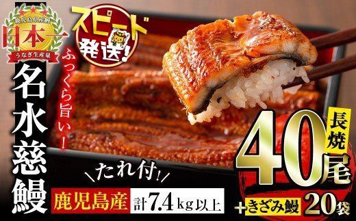 鹿児島県産うなぎ蒲焼 名水慈鰻 40尾(1尾約160g)+きざみ鰻20袋(1袋約50g)＜合計約7.4kg＞ wb82-001