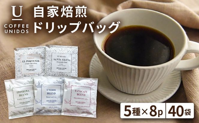 コーヒー ドリップ バッグ 40個 セット （ 5種類 × 8個 ） 《糸島》 【COFFEE UNIDOS】 [AQF007] 珈琲 カフェ コーヒー粉