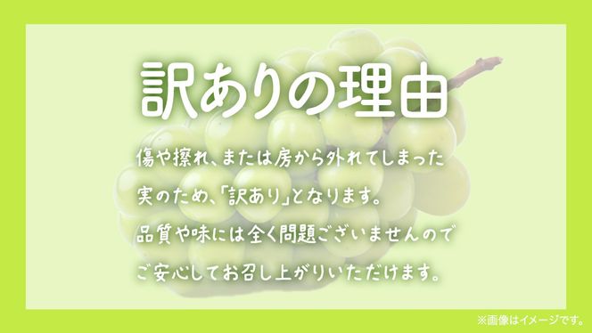 【 訳あり 】 シャインマスカット 4kg 【2026年8月発送開始】(茨城県共通返礼品：大子町) ぶどう 葡萄 マスカット フルーツ 果物 ワケあり ご自宅用 ご家庭用 自分用
