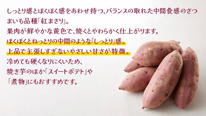 紅まさり 5kg 【 2026年12月上旬発送開始 】 ( 茨城県共通返礼品：大子町 ) さつまいも 焼き芋 しっとり なめらか 冷やし焼き芋 甘い 新芋 希少品種 農家直送 産地直送 [FC203us]