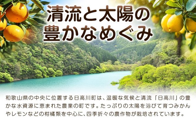 レモン 超訳ありレモン 約5kg 《2月上旬-5月末頃出荷》 和歌山県 日高川町 れもん 檸檬 柑橘 訳あり 果物 くだもの フルーツ 青果物---wshg_dsk97_2j5m_26_7000_5---