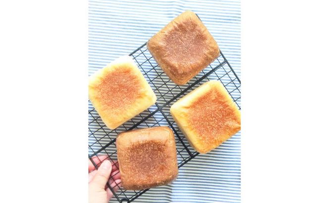 はちみつ酵母のパン　ハニーフロマージュ　12個セット　パン ぱん 朝食 おやつ お菓子 ご褒美 チーズ はちみつ酵母