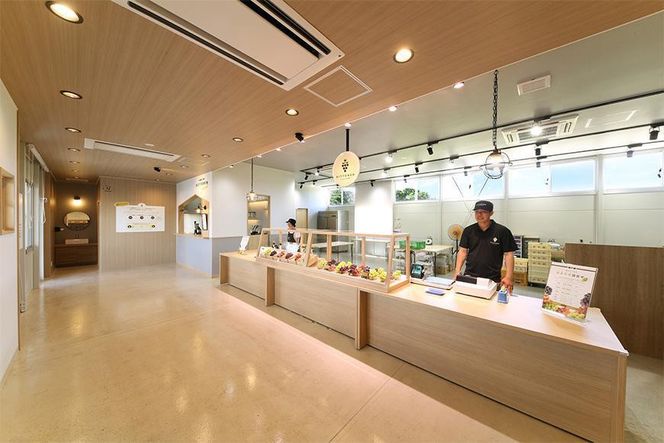 【2026年発送】シャインマスカット＋お任せぶどう 約1.5kg（2～3房） 232238_SS006