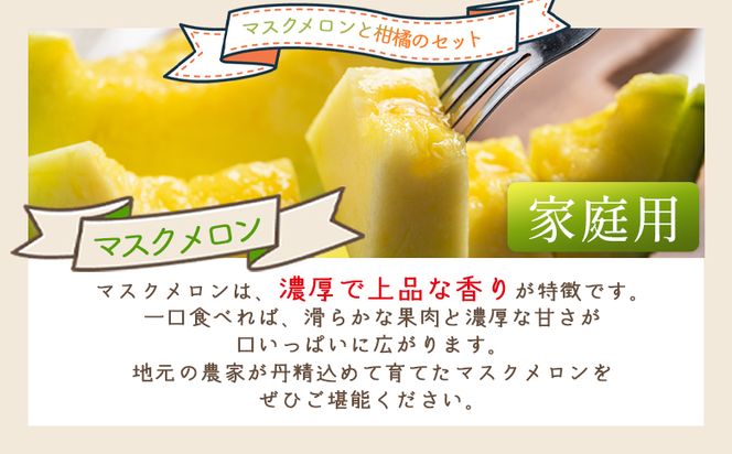 メロン 柑橘 2種セット マスクメロン yr-0111
