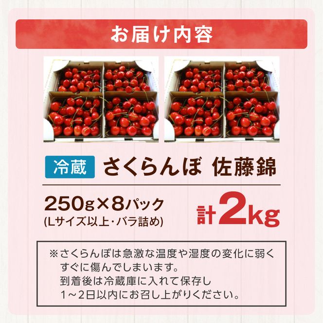【先行予約2026年7月上旬より発送】余市の砂川果樹園が贈る もぎたて直送さくらんぼ 佐藤錦 2kg箱_Y033-0039