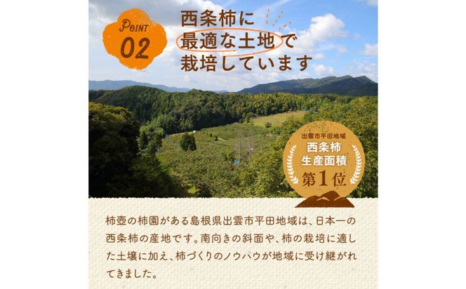 【柿専業の農家が作る】謹撰大玉西条柿の干し柿 440g【11月下旬以降お届け】 322032_BK010