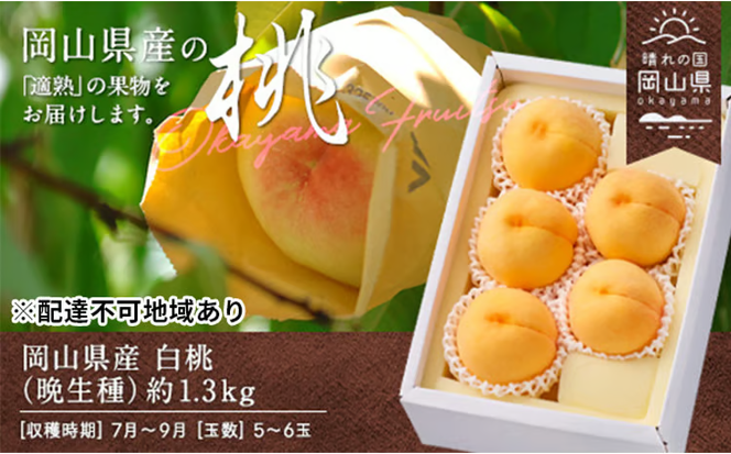 桃 2026年 先行予約 白桃 晩生種 約1.3kg 5～6玉 もも モモ 岡山県産 国産 フルーツ 果物 ギフト