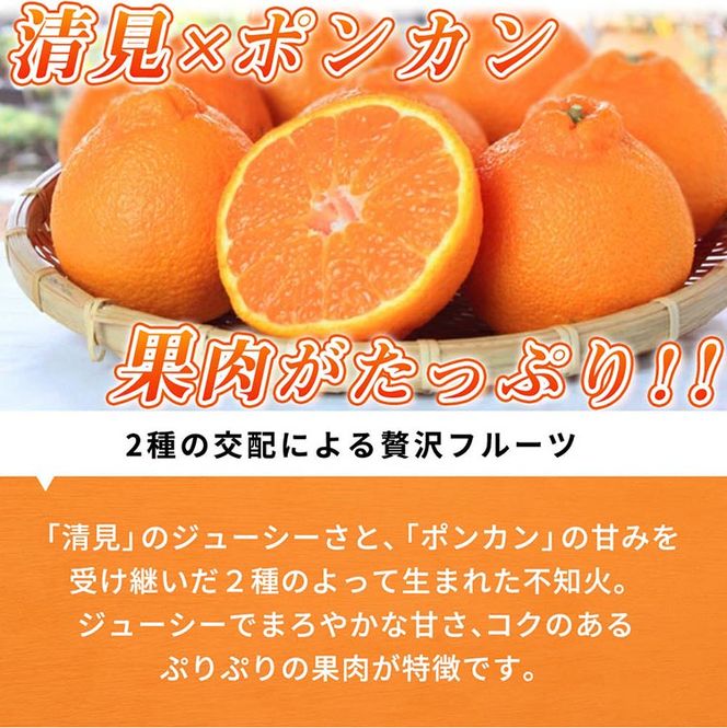 紀州有田産不知火(しらぬひ) 2.5kg