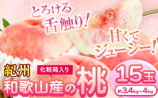 ya̎R쒬zys\z  IB a̎RY   15 (  3.4kg ~ 4kg ) ߏXs2026N6{-8{蔭\t a̎R 쒬 t[c ϔ Mtg  킩 ʕ---wshg_cuot152_6g8j_25_24000_15t---