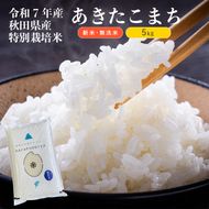 【令和7年産】【無洗米】特別栽培米あきたこまち5kg×1 米 コメ こめ 秋田県産 国産米