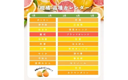 【先行予約】旬の柑橘 詰め合わせ セット 石本果樹園 店主おすすめの柑橘セットをお届け 【2027年1月～4月中に順次発送予定】 / フルーツ 果物 くだもの 柑橘 フルーツセット くだものセット みかん ミカン 温州みかん 不知火 せとか セミノール ポンカン カラマンダリン 甘夏 清見 オレンジ 産地直送 旬 人気 おすすめ 詰め合わせ お楽しみ三重県 紀宝町【min011】