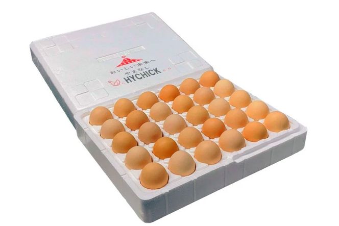 こだわり卵 穂坂のももたま 10個×3 計30個 [ハイチック 山梨県 韮崎市 20743393] 卵 たまご エコパック ももいろ ピンク かわいい