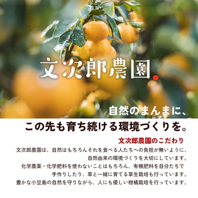 【 小豆島 】文次郎農園のドライフルーツ 3袋セット 柑橘 蜜柑 ミカン セミ ドライフルーツ 乾燥 ドライ 果物 軽食 おやつ デザート 香川 香川県 土庄 土庄町