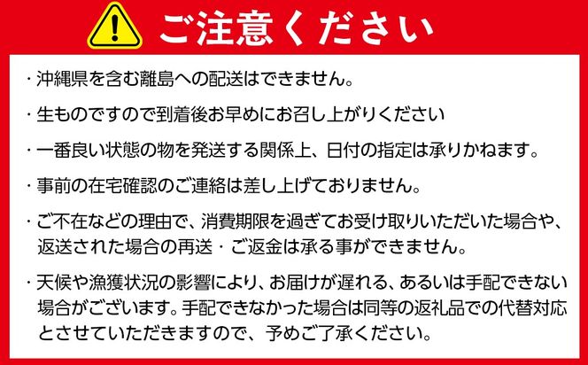北海道室蘭産 天然活蝦夷あわび 5個入（1個100g～120g前後）（2026年1月中旬頃お届け） MROH006