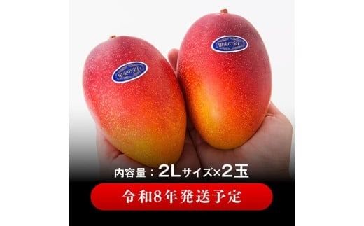 【令和8年発送】宮崎県産完熟マンゴー「果実の宝石」　プレミアム 2L×2玉 【 先行予約 数量限定 宮崎県産 九州産 川南町産 糖度15度以上 期間限定 】[C03707]