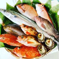 京都府宮津市産『朝どれ！山一鮮魚おおきに便』約4～5kg 魚介類 セット 産地直送 鮮魚 内臓処理加 鮮度抜群 冷蔵 詰め合わせ 旬 鯛 