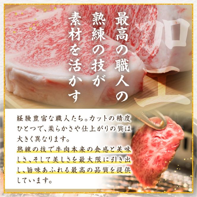 【生産者まかない用特別提供品】特別提供・宮崎和牛不揃いカットステーキ 500g（国産 牛肉 国産牛 和牛 黒毛和牛 赤身 不揃い ステーキ 焼肉）