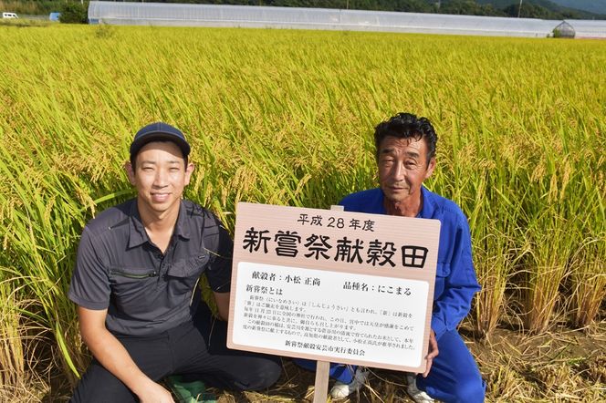 【先行受付】 玄米 令和8年産 こしひかり 選べる 5kg 10kg 安芸産 定期便 6回 4回 3回 1回 お米 精米 新米 ごはん ご飯 高知県産 弁当 おにぎり 料理 新嘗祭皇室献上米 令和8年  健康志向 もちもち食感 美味しい 農家直送 先行予約 おにぎり 高級米 ブランド米 冷めても美味しい 炊き立て 食べ比べ 人気 おすすめ 贈答用 ギフト お米の定期便人気 安芸市 高知県