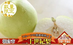 フルーツの里の直売所より 二十世紀梨 5kg ナシ 果物 先行予約 