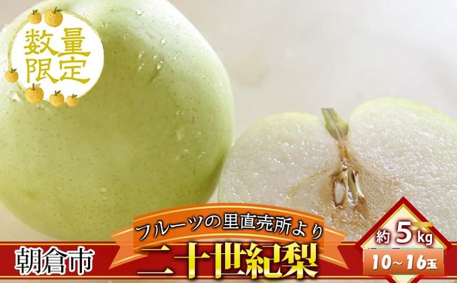 フルーツの里の直売所より 二十世紀梨 5kg ナシ 果物 先行予約 