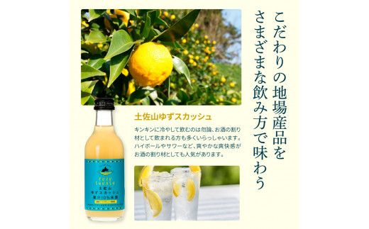 【CF-R7hbk】SKS048　土佐山ドリンク飲み比べ12本セット ジンジャーエール 辛口 マイルド ゆずスカッシュ スカッシュ 飲み物 詰め合わせ セット お歳暮 ギフト ドリンク  ゆず ジンジャー ジュース 飲み比べ 贈り物 故郷納税 19000円 ふるさとのうぜい 高知 芸西村 返礼品