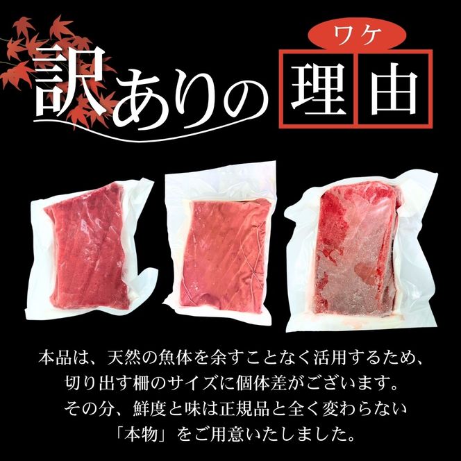 【スピード発送】 天然本まぐろ 赤身 中トロ セット 600g以上 訳あり まぐろ 刺身 さしみ 刺し身 鮮魚 まぐろ赤身 鮪 魚介 魚 マグロ 漬け ユッケ 海鮮丼 国産 天然まぐろ 高級 天然 人気 寿司 本鮪 お正月 年末 冷凍 三陸 大船渡 岩手 冊 ギフト ごちそう