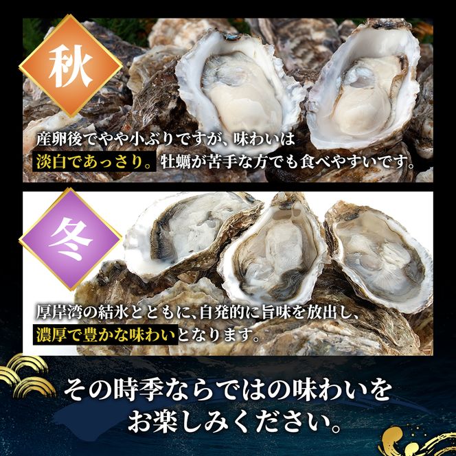 定期便 4回 季節によって味が違う！春夏秋冬「 牡蠣 」 【配送不可：沖縄・離島】 魚貝類 生牡蠣 かき マルえもん