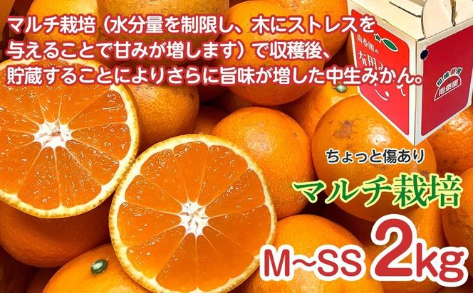 定期便 ちょっと 傷あり 2kg × 3回 コース 有田みかん 食べくらべ 3種 全3回 南泰園 BS820