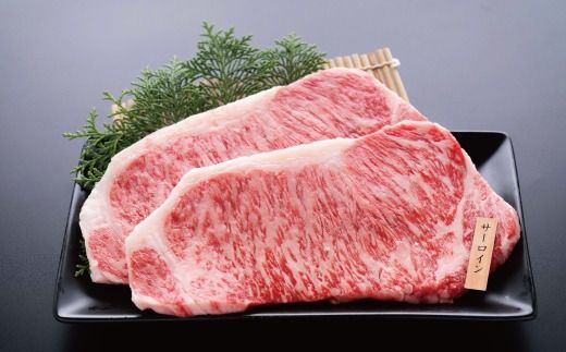 6回 定期便 牛・豚・鶏が月替わりで届く！肉づくし定期便 国産 高知 四万十 四万十市 鶏肉 チキン 肉 もも肉 四万十鶏 しまんと グルメ 四万十牛 牛肉 ビーフ サーロイン ロース ローストチキン 豚 豚はらみ 25-330